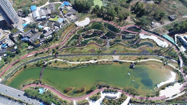 “臭水塘”变身“城市花园”！贵阳七彩湖生态湿地公园被媒体称赞
