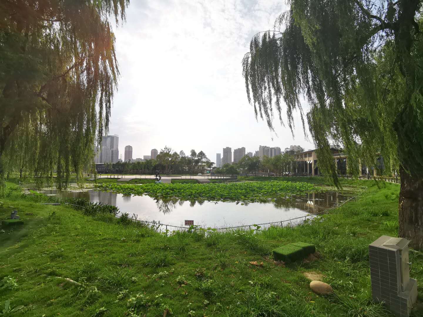 微信图片_20200703164058